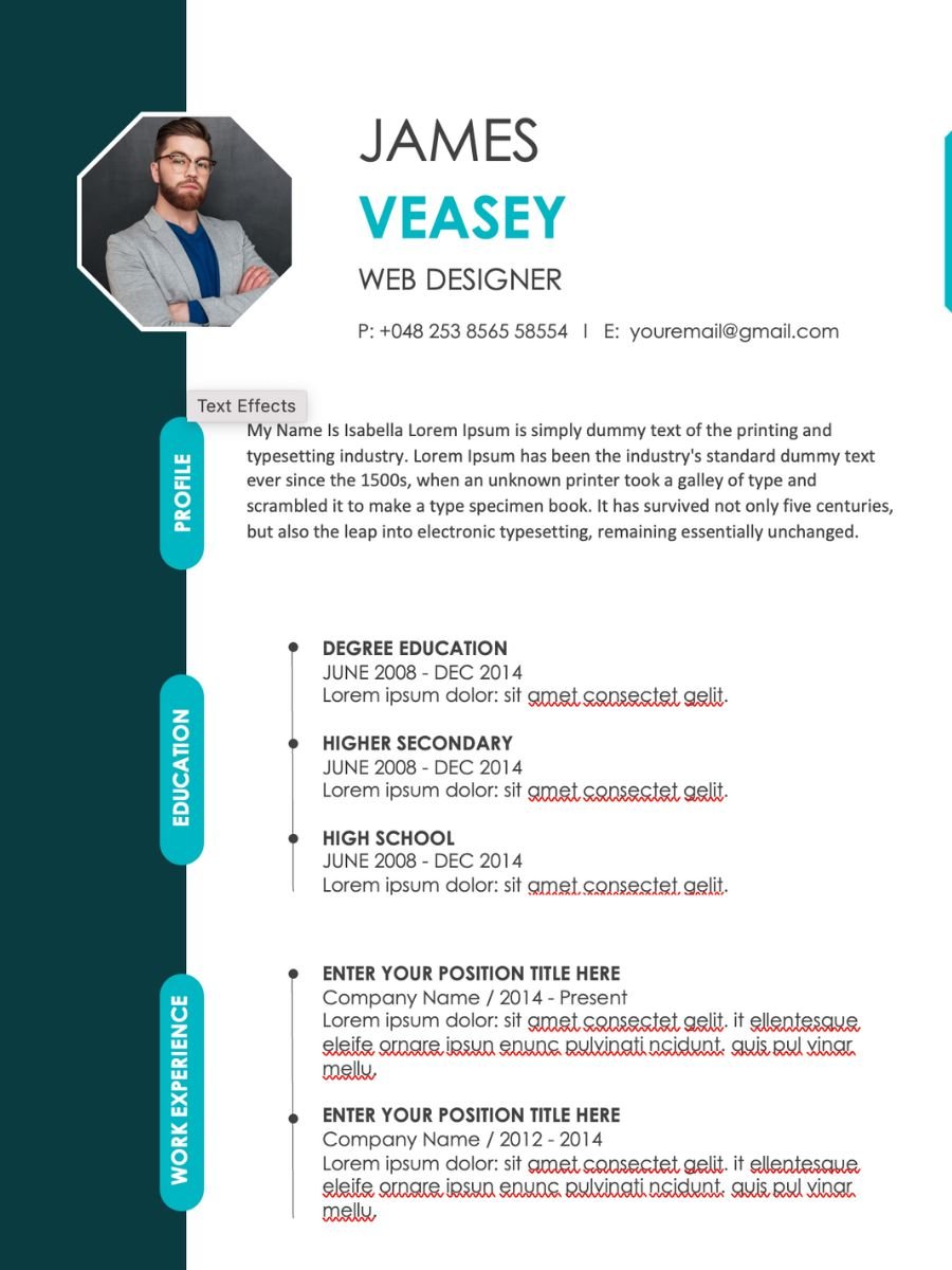 resume format with experience download free cv template 8