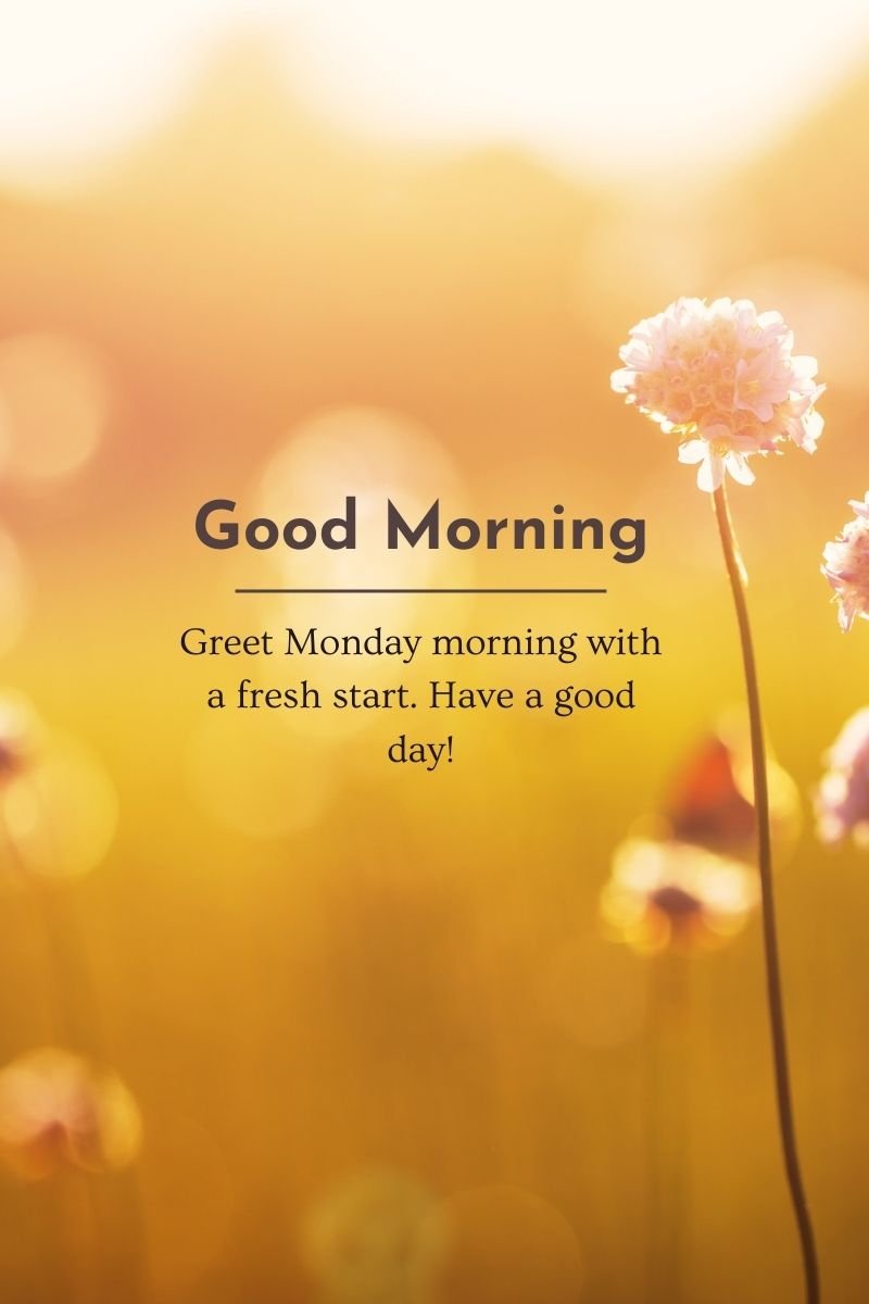 Monday! Good Morning Wishes | Quotes | Greetings | SMS