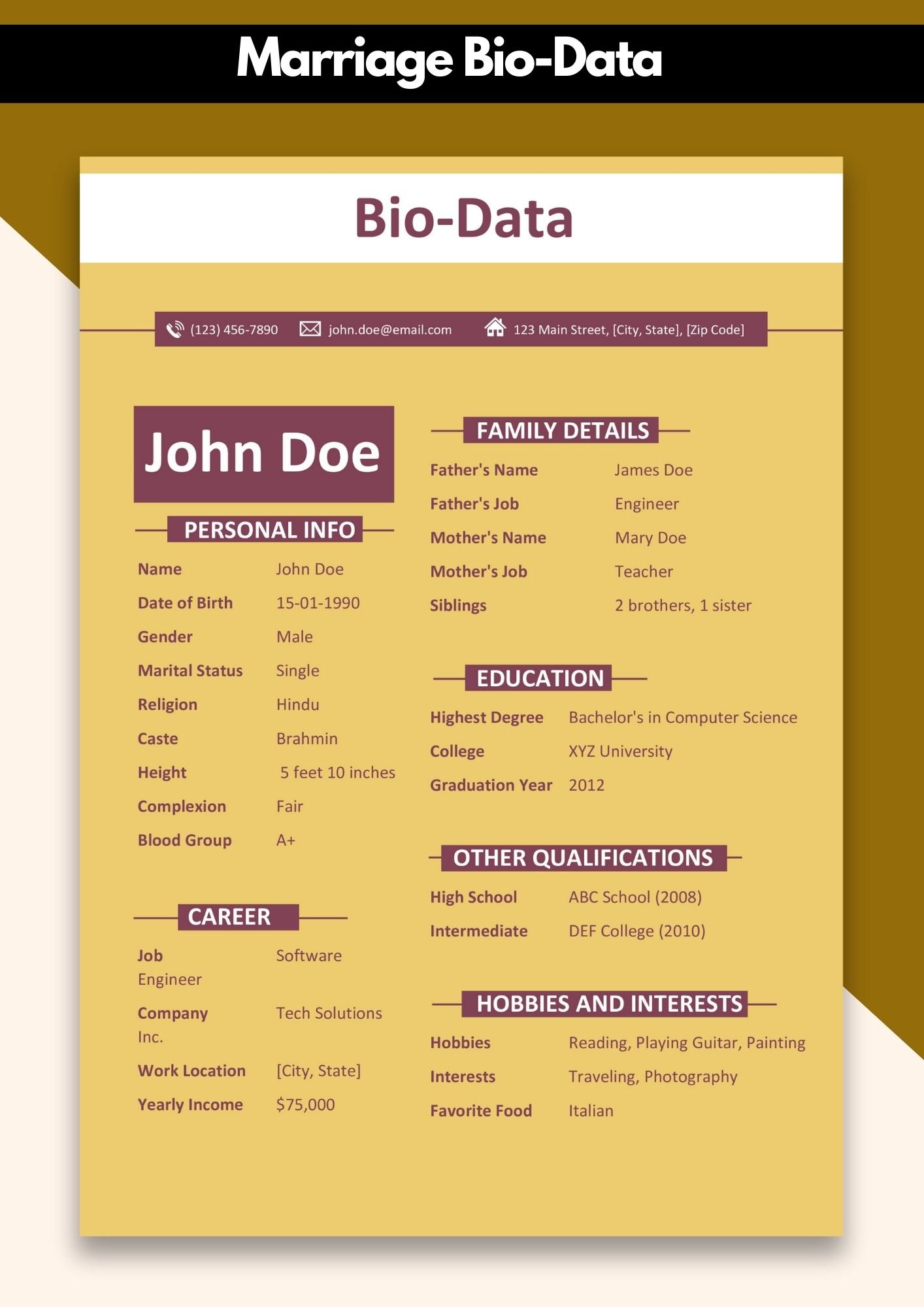 Editable Marriage Bio Data Pdf Templates for Instant Download