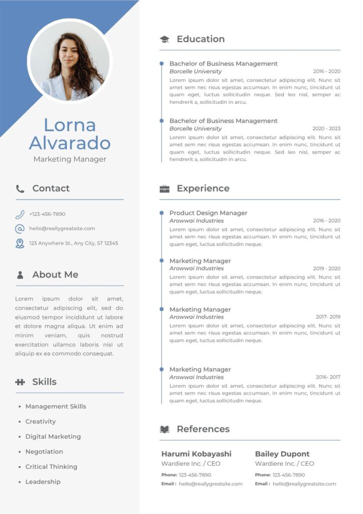 Modern Professional CV Resume canva template editable