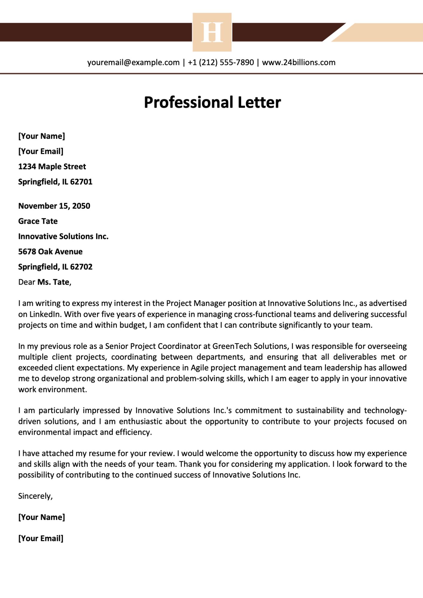 Professional Letter Template
