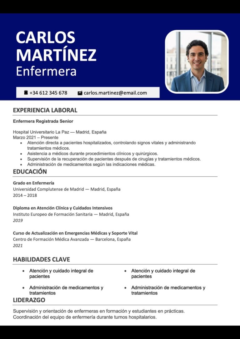 cv online plantilla