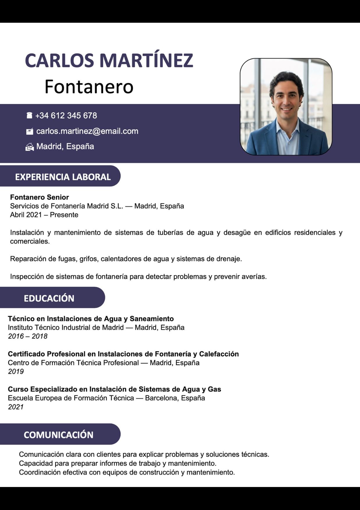 formato curriculum vitae modelos de cv